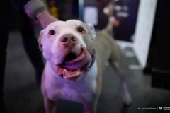 2024-10-18-Koncert-Kultowej-Akadery-fot-Dariusz-Piekut