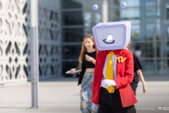 Zdjęcie 7 z 101