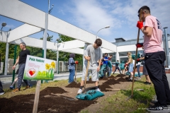 My Green University, fot-Dariusz Piekut/PB