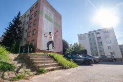 Zdjęcie 5 z 12