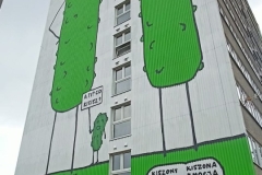 Zdjecie-1