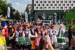 Zdjęcie 9 z 22