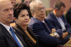 Zdjęcie 85 z 252