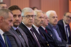 Zdjęcie 86 z 252