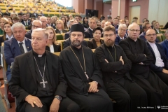 Zdjęcie 103 z 252
