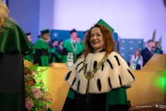 Zdjęcie 28 z 252