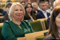 Zdjęcie 82 z 252