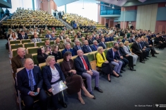 Zdjęcie 181 z 252