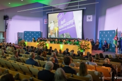 Zdjęcie 203 z 252