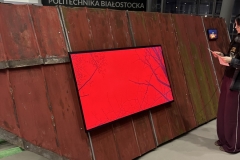 Zdjęcie 8 z 10
