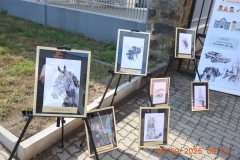 Zdjęcie 15 z 15