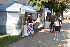 Zdjęcie 1 z 15